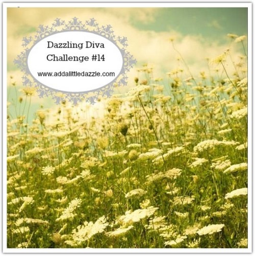 Dazzling Diva Challenge #14