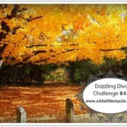 Dazzling Diva Challenge #42