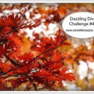 Dazzling Diva Challenge #44